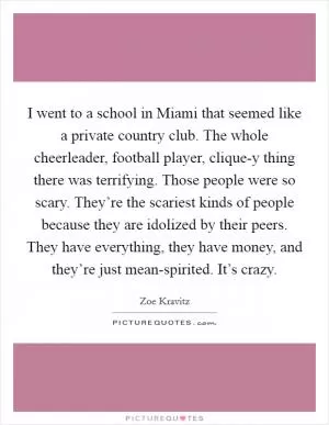 I went to a school in Miami that seemed like a private country club. The whole cheerleader, football player, clique-y thing there was terrifying. Those people were so scary. They’re the scariest kinds of people because they are idolized by their peers. They have everything, they have money, and they’re just mean-spirited. It’s crazy Picture Quote #1