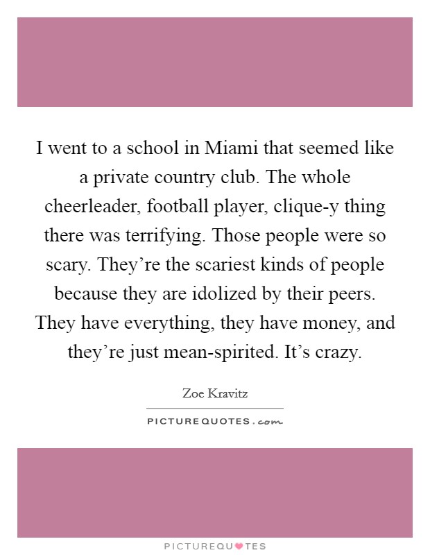 I went to a school in Miami that seemed like a private country club. The whole cheerleader, football player, clique-y thing there was terrifying. Those people were so scary. They're the scariest kinds of people because they are idolized by their peers. They have everything, they have money, and they're just mean-spirited. It's crazy. Picture Quote #1