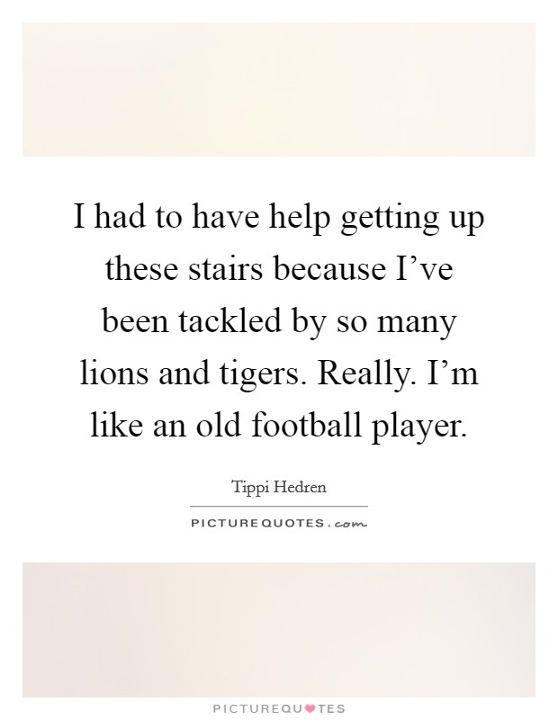 I had to have help getting up these stairs because I've been tackled by so many lions and tigers. Really. I'm like an old football player. Picture Quote #1