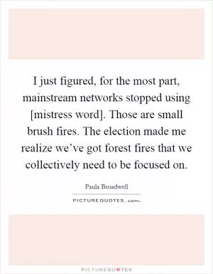I just figured, for the most part, mainstream networks stopped using [mistress word]. Those are small brush fires. The election made me realize we’ve got forest fires that we collectively need to be focused on Picture Quote #1