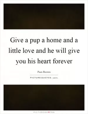 Give a pup a home and a little love and he will give you his heart forever Picture Quote #1