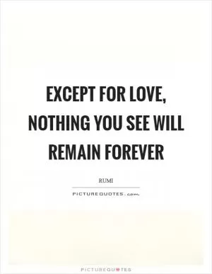 Except for Love, nothing you see will remain forever Picture Quote #1