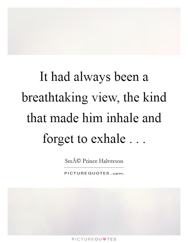 It had always been a breathtaking view, the kind that made him inhale and forget to exhale . . . Picture Quote #1