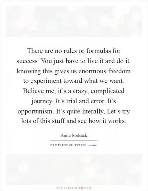There are no rules or formulas for success. You just have to live it and do it. knowing this gives us enormous freedom to experiment toward what we want. Believe me, it’s a crazy, complicated journey. It’s trial and error. It’s opportunism. It’s quite literally, Let’s try lots of this stuff and see how it works Picture Quote #1