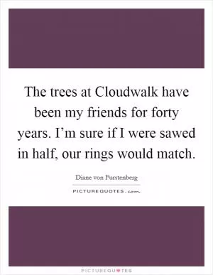 The trees at Cloudwalk have been my friends for forty years. I’m sure if I were sawed in half, our rings would match Picture Quote #1