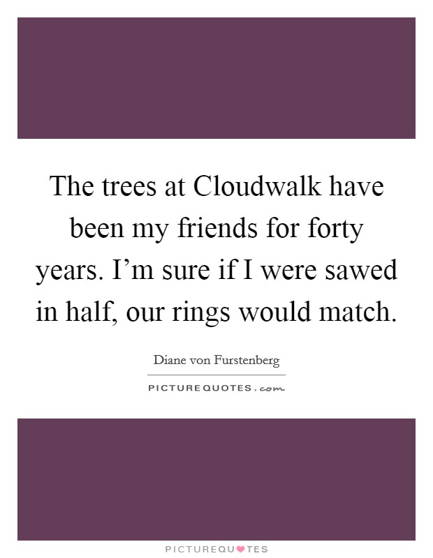 The trees at Cloudwalk have been my friends for forty years. I'm sure if I were sawed in half, our rings would match. Picture Quote #1