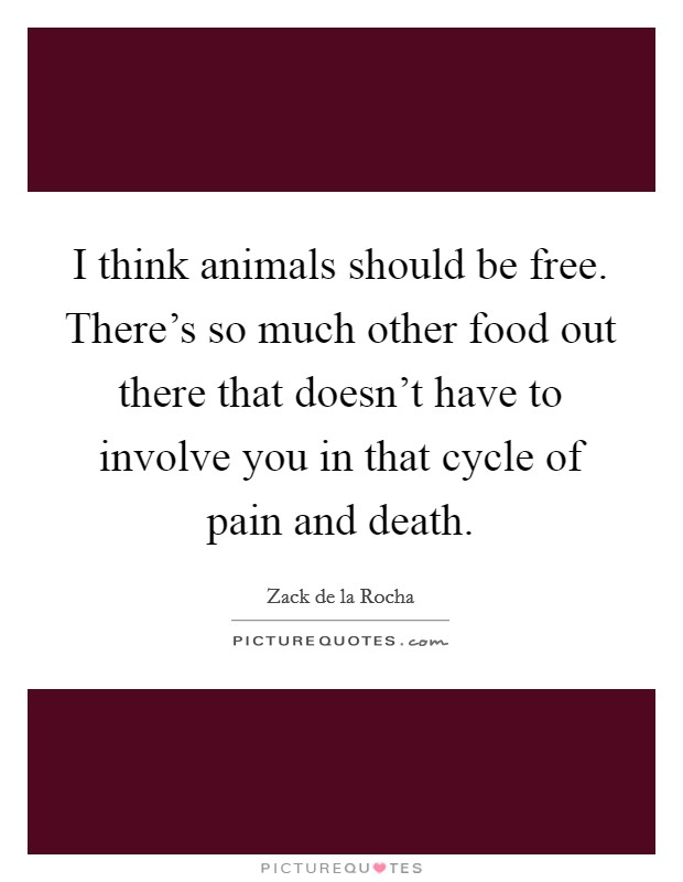 I think animals should be free. There's so much other food out there that doesn't have to involve you in that cycle of pain and death. Picture Quote #1