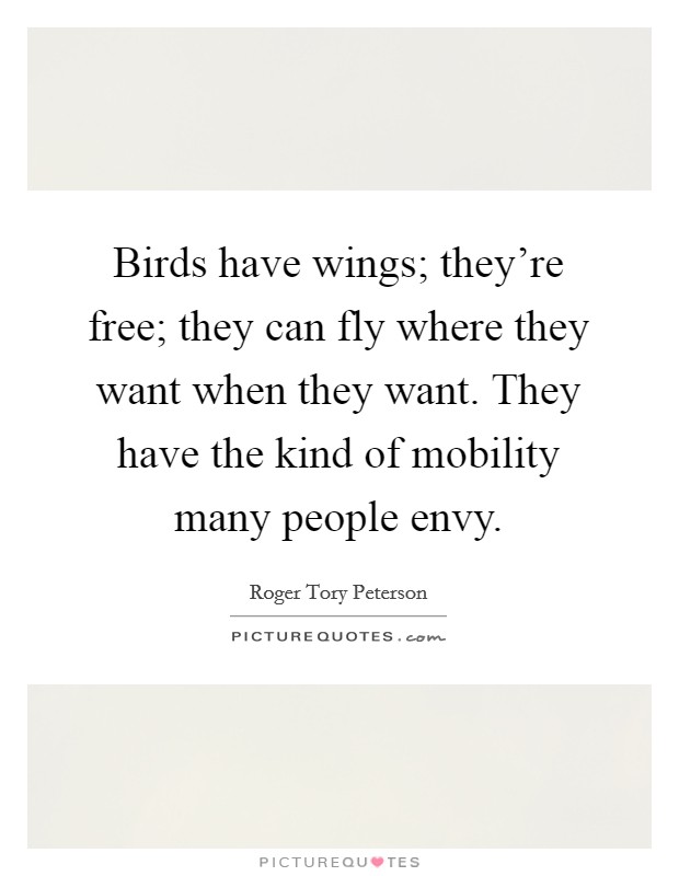 Birds have wings; they're free; they can fly where they want when they want. They have the kind of mobility many people envy. Picture Quote #1