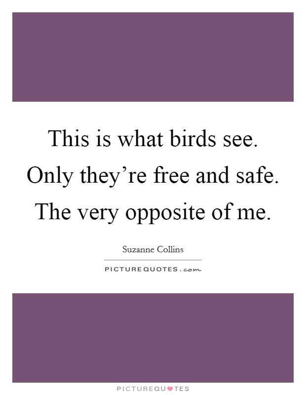 This is what birds see. Only they're free and safe. The very opposite of me. Picture Quote #1