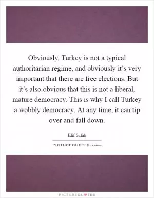 Obviously, Turkey is not a typical authoritarian regime, and obviously it’s very important that there are free elections. But it’s also obvious that this is not a liberal, mature democracy. This is why I call Turkey a wobbly democracy. At any time, it can tip over and fall down Picture Quote #1