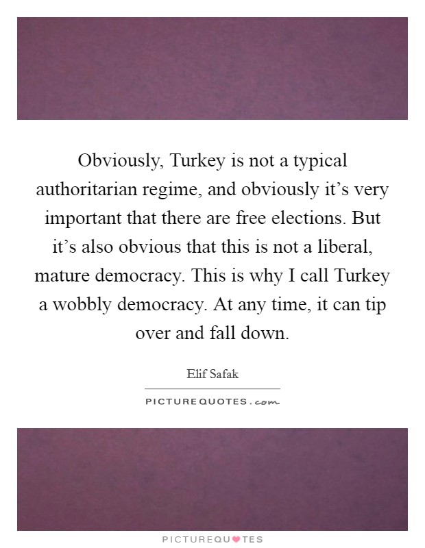 Obviously, Turkey is not a typical authoritarian regime, and obviously it's very important that there are free elections. But it's also obvious that this is not a liberal, mature democracy. This is why I call Turkey a wobbly democracy. At any time, it can tip over and fall down. Picture Quote #1