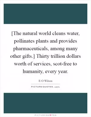 [The natural world cleans water, pollinates plants and provides pharmaceuticals, among many other gifts.] Thirty trillion dollars worth of services, scot-free to humanity, every year Picture Quote #1