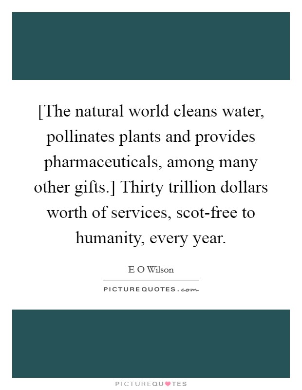 [The natural world cleans water, pollinates plants and provides pharmaceuticals, among many other gifts.] Thirty trillion dollars worth of services, scot-free to humanity, every year. Picture Quote #1