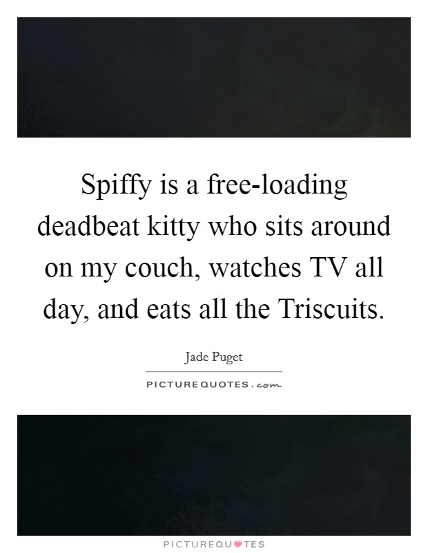 Spiffy is a free-loading deadbeat kitty who sits around on my couch, watches TV all day, and eats all the Triscuits. Picture Quote #1