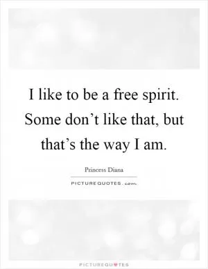 I like to be a free spirit. Some don’t like that, but that’s the way I am Picture Quote #1