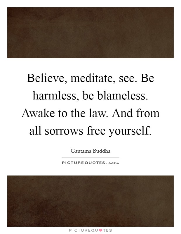 Believe, meditate, see. Be harmless, be blameless. Awake to the law. And from all sorrows free yourself. Picture Quote #1