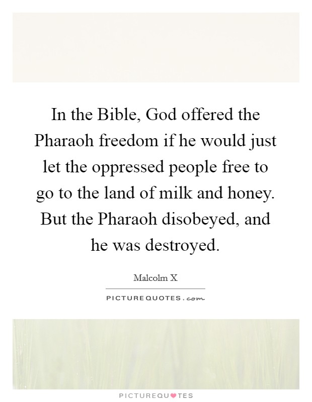 In the Bible, God offered the Pharaoh freedom if he would just let the oppressed people free to go to the land of milk and honey. But the Pharaoh disobeyed, and he was destroyed. Picture Quote #1