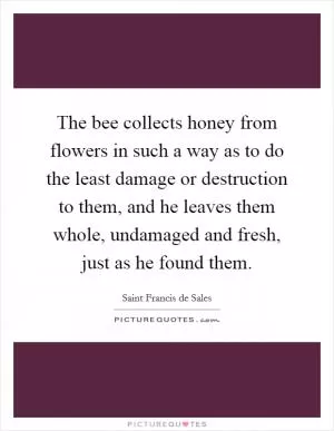The bee collects honey from flowers in such a way as to do the least damage or destruction to them, and he leaves them whole, undamaged and fresh, just as he found them Picture Quote #1