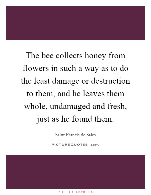 The bee collects honey from flowers in such a way as to do the least damage or destruction to them, and he leaves them whole, undamaged and fresh, just as he found them. Picture Quote #1