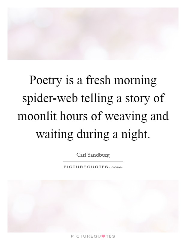 Poetry is a fresh morning spider-web telling a story of moonlit hours of weaving and waiting during a night. Picture Quote #1
