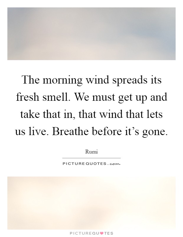 The morning wind spreads its fresh smell. We must get up and take that in, that wind that lets us live. Breathe before it's gone. Picture Quote #1