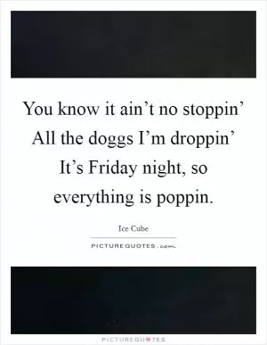 You know it ain’t no stoppin’ All the doggs I’m droppin’ It’s Friday night, so everything is poppin Picture Quote #1