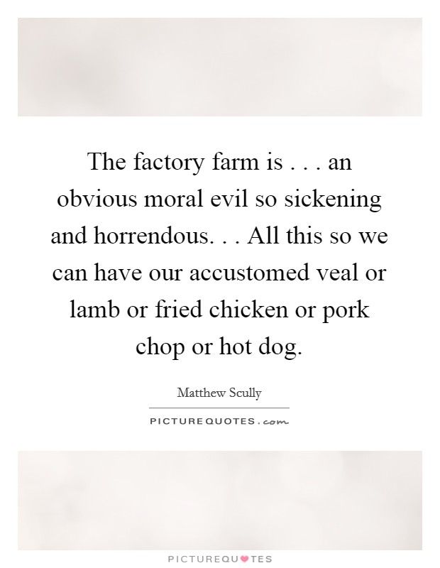 The factory farm is . . . an obvious moral evil so sickening and horrendous. . . All this so we can have our accustomed veal or lamb or fried chicken or pork chop or hot dog. Picture Quote #1