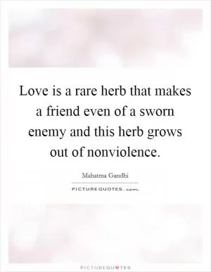 Love is a rare herb that makes a friend even of a sworn enemy and this herb grows out of nonviolence Picture Quote #1