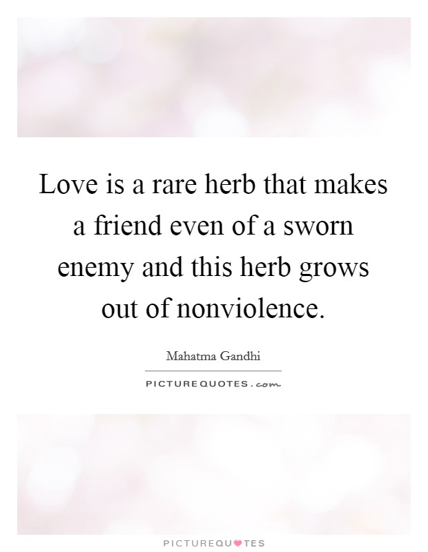 Love is a rare herb that makes a friend even of a sworn enemy and this herb grows out of nonviolence. Picture Quote #1