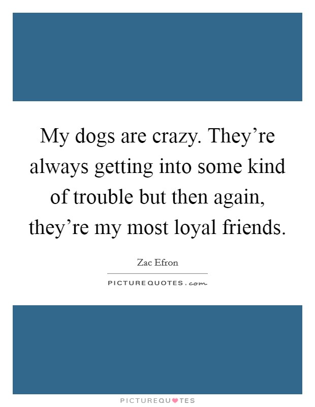 My dogs are crazy. They're always getting into some kind of trouble but then again, they're my most loyal friends. Picture Quote #1