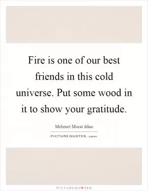 Fire is one of our best friends in this cold universe. Put some wood in it to show your gratitude Picture Quote #1