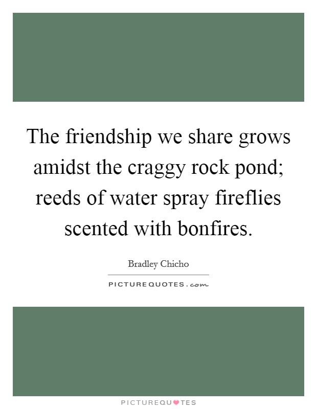 The friendship we share grows amidst the craggy rock pond; reeds of water spray fireflies scented with bonfires. Picture Quote #1