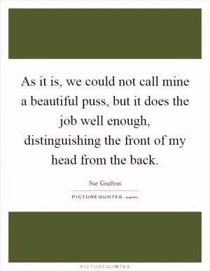 As it is, we could not call mine a beautiful puss, but it does the job well enough, distinguishing the front of my head from the back Picture Quote #1