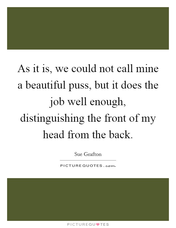 As it is, we could not call mine a beautiful puss, but it does the job well enough, distinguishing the front of my head from the back. Picture Quote #1