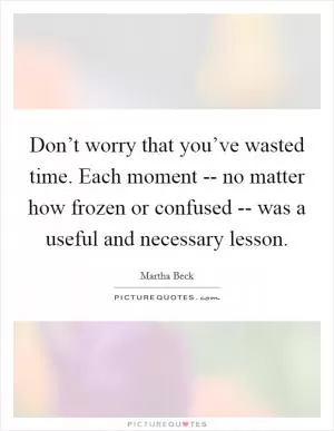 Don’t worry that you’ve wasted time. Each moment -- no matter how frozen or confused -- was a useful and necessary lesson Picture Quote #1