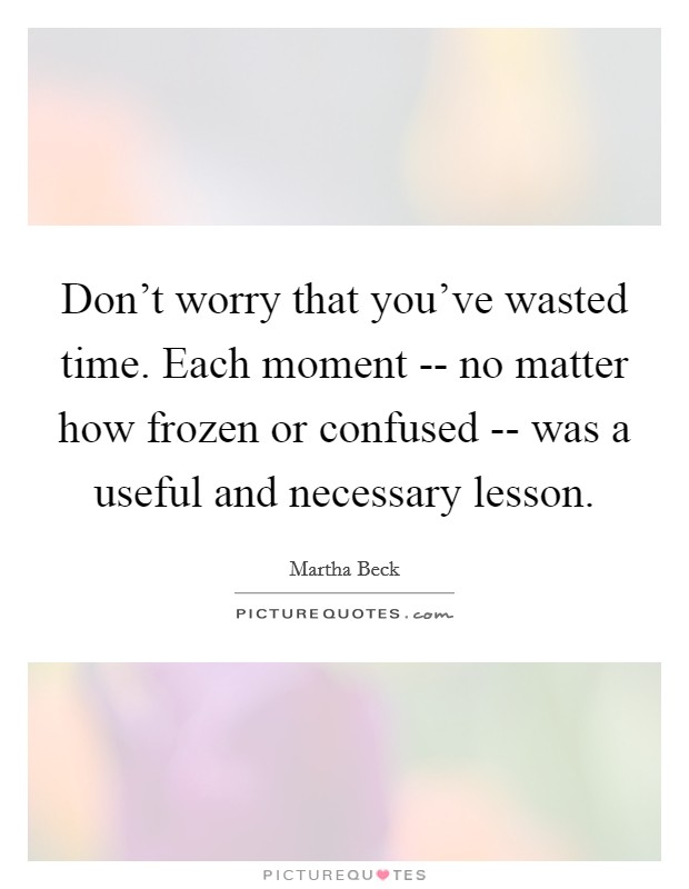 Don't worry that you've wasted time. Each moment -- no matter how frozen or confused -- was a useful and necessary lesson. Picture Quote #1