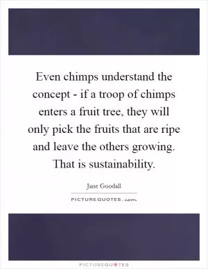 Even chimps understand the concept - if a troop of chimps enters a fruit tree, they will only pick the fruits that are ripe and leave the others growing. That is sustainability Picture Quote #1