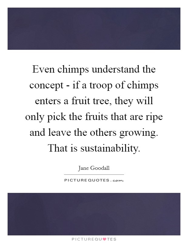 Even chimps understand the concept - if a troop of chimps enters a fruit tree, they will only pick the fruits that are ripe and leave the others growing. That is sustainability. Picture Quote #1