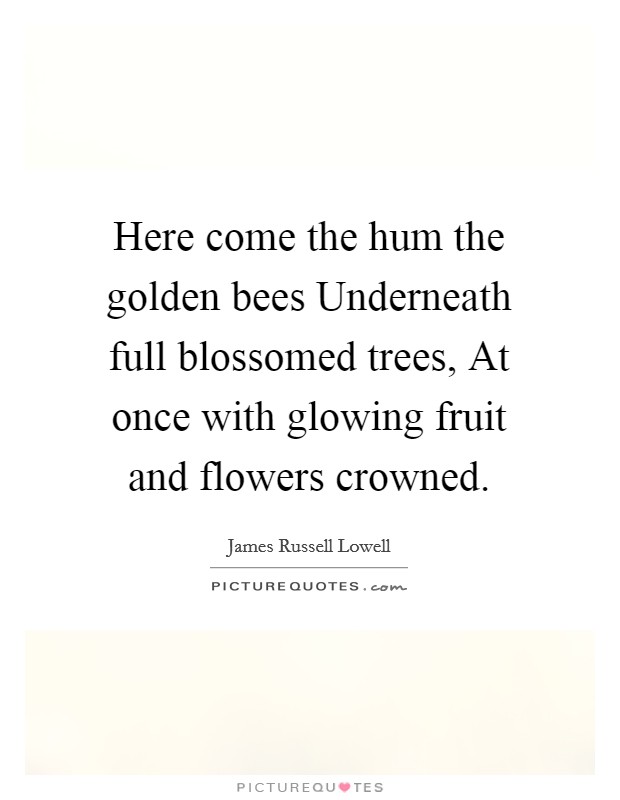 Here come the hum the golden bees Underneath full blossomed trees, At once with glowing fruit and flowers crowned. Picture Quote #1