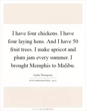 I have four chickens. I have four laying hens. And I have 50 fruit trees. I make apricot and plum jam every summer. I brought Memphis to Malibu Picture Quote #1