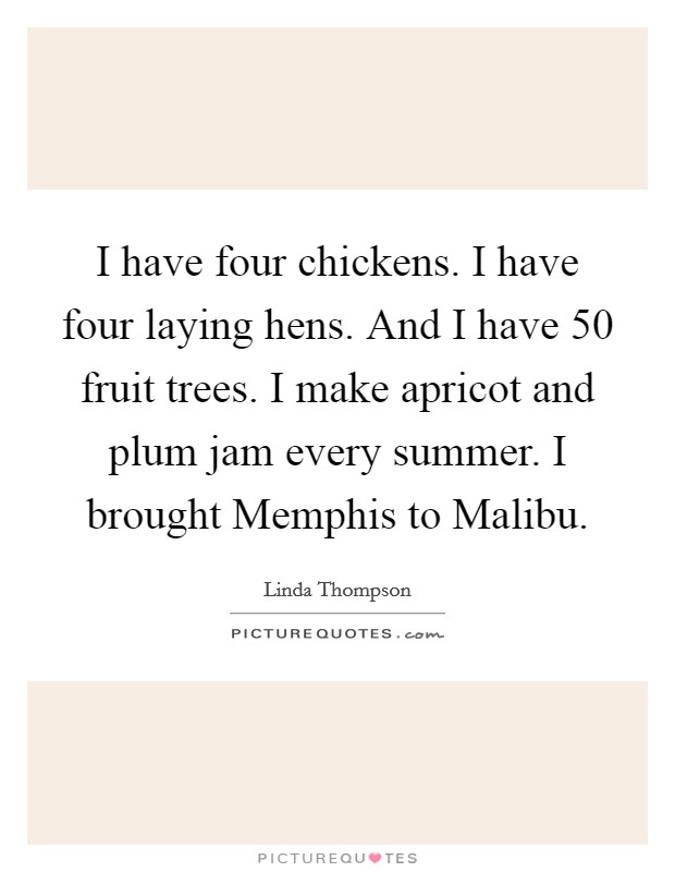 I have four chickens. I have four laying hens. And I have 50 fruit trees. I make apricot and plum jam every summer. I brought Memphis to Malibu. Picture Quote #1
