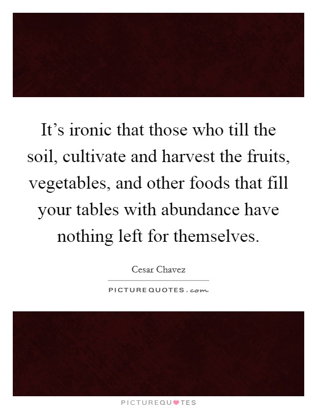 It's ironic that those who till the soil, cultivate and harvest the fruits, vegetables, and other foods that fill your tables with abundance have nothing left for themselves. Picture Quote #1