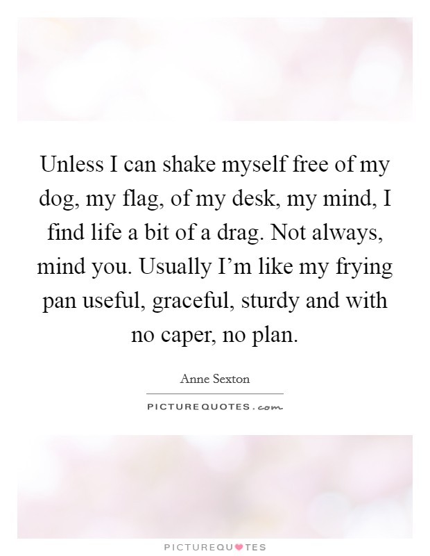 Unless I can shake myself free of my dog, my flag, of my desk, my mind, I find life a bit of a drag. Not always, mind you. Usually I'm like my frying pan useful, graceful, sturdy and with no caper, no plan. Picture Quote #1
