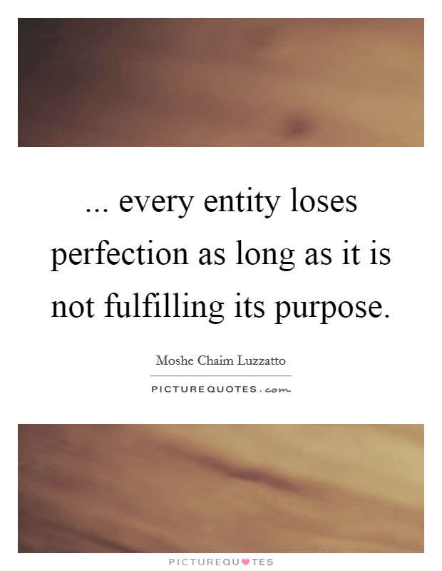 ... every entity loses perfection as long as it is not fulfilling its purpose. Picture Quote #1