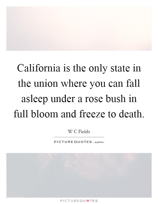 California is the only state in the union where you can fall asleep under a rose bush in full bloom and freeze to death. Picture Quote #1