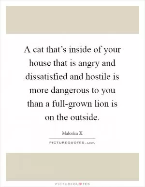A cat that’s inside of your house that is angry and dissatisfied and hostile is more dangerous to you than a full-grown lion is on the outside Picture Quote #1