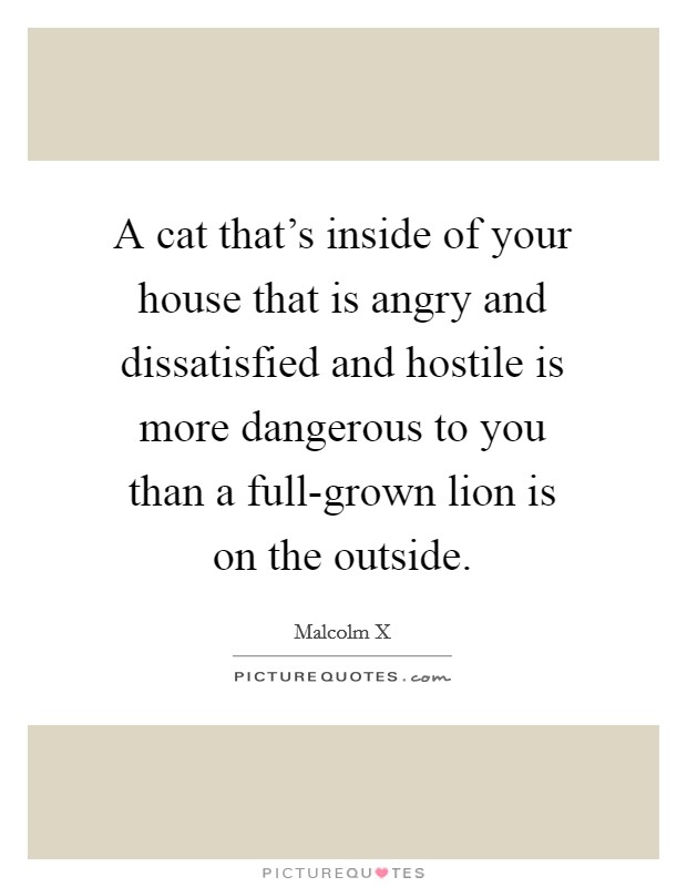 A cat that's inside of your house that is angry and dissatisfied and hostile is more dangerous to you than a full-grown lion is on the outside. Picture Quote #1