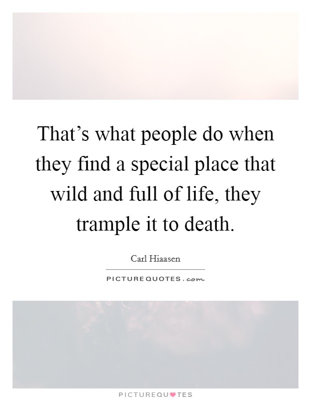 That's what people do when they find a special place that wild and full of life, they trample it to death. Picture Quote #1