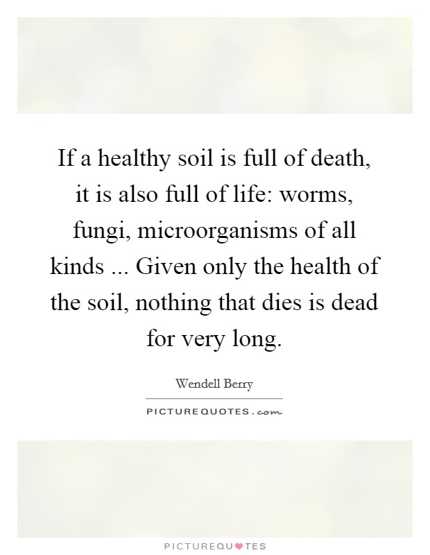 If a healthy soil is full of death, it is also full of life: worms, fungi, microorganisms of all kinds ... Given only the health of the soil, nothing that dies is dead for very long. Picture Quote #1