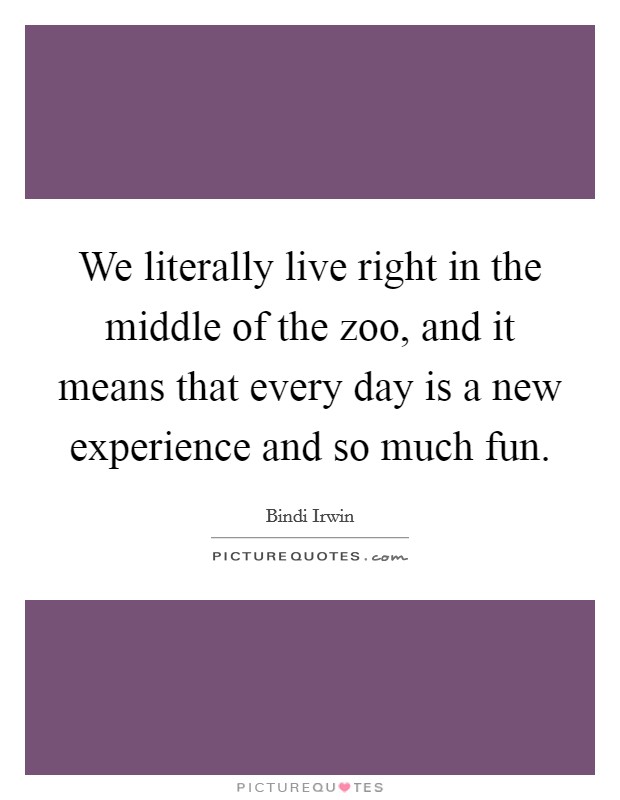 We literally live right in the middle of the zoo, and it means that every day is a new experience and so much fun Picture Quote #1